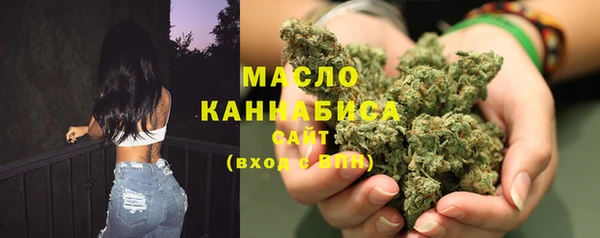 Альфа ПВП Пересвет