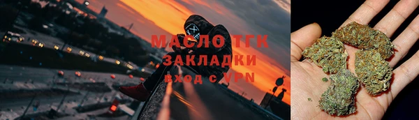 прущие грибы Переславль-Залесский