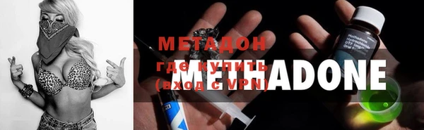 прущие грибы Переславль-Залесский