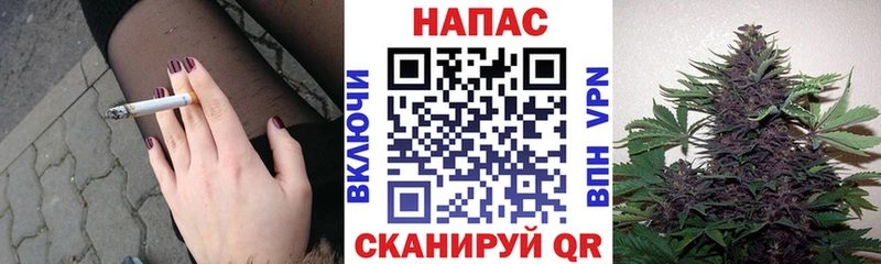 Канабис сатива  Нижние Серги 